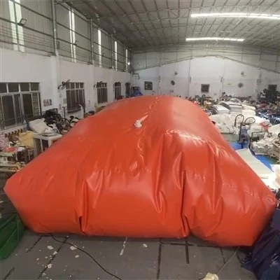 Vejiga Rectangular Y Ñeñongatuha rehegua